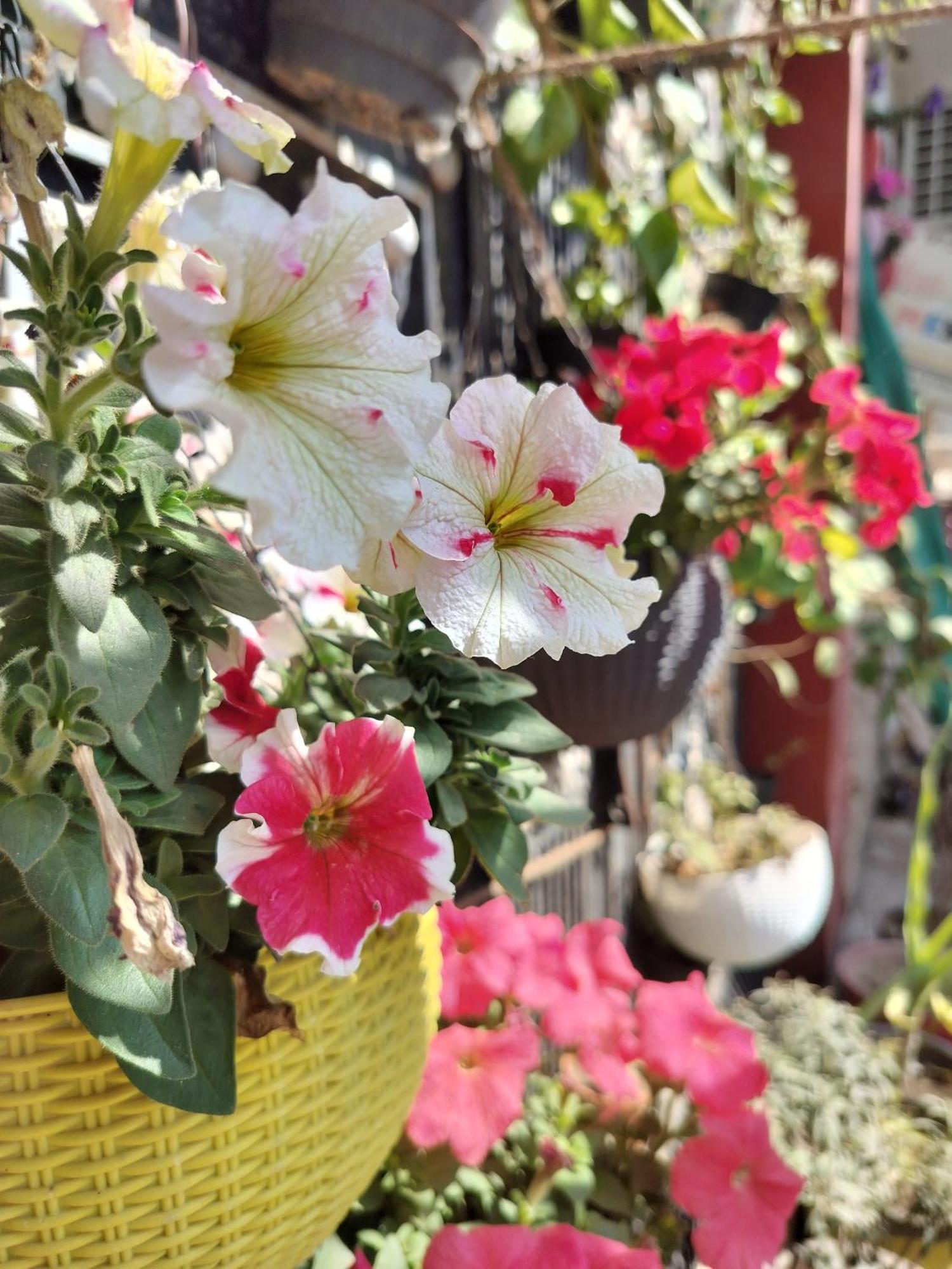 מטורה Kishan Home Stay מראה חיצוני תמונה
