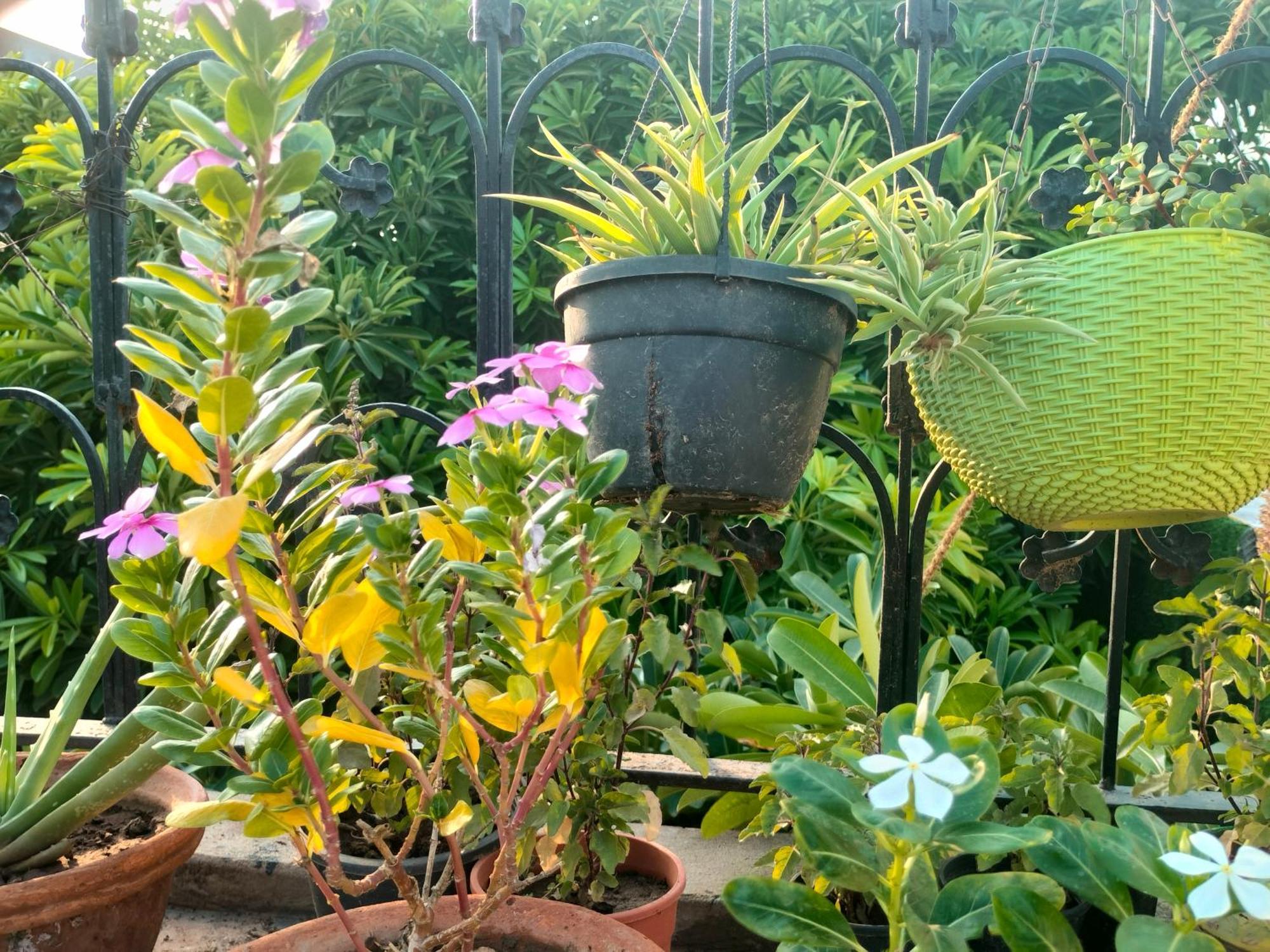 מטורה Kishan Home Stay מראה חיצוני תמונה