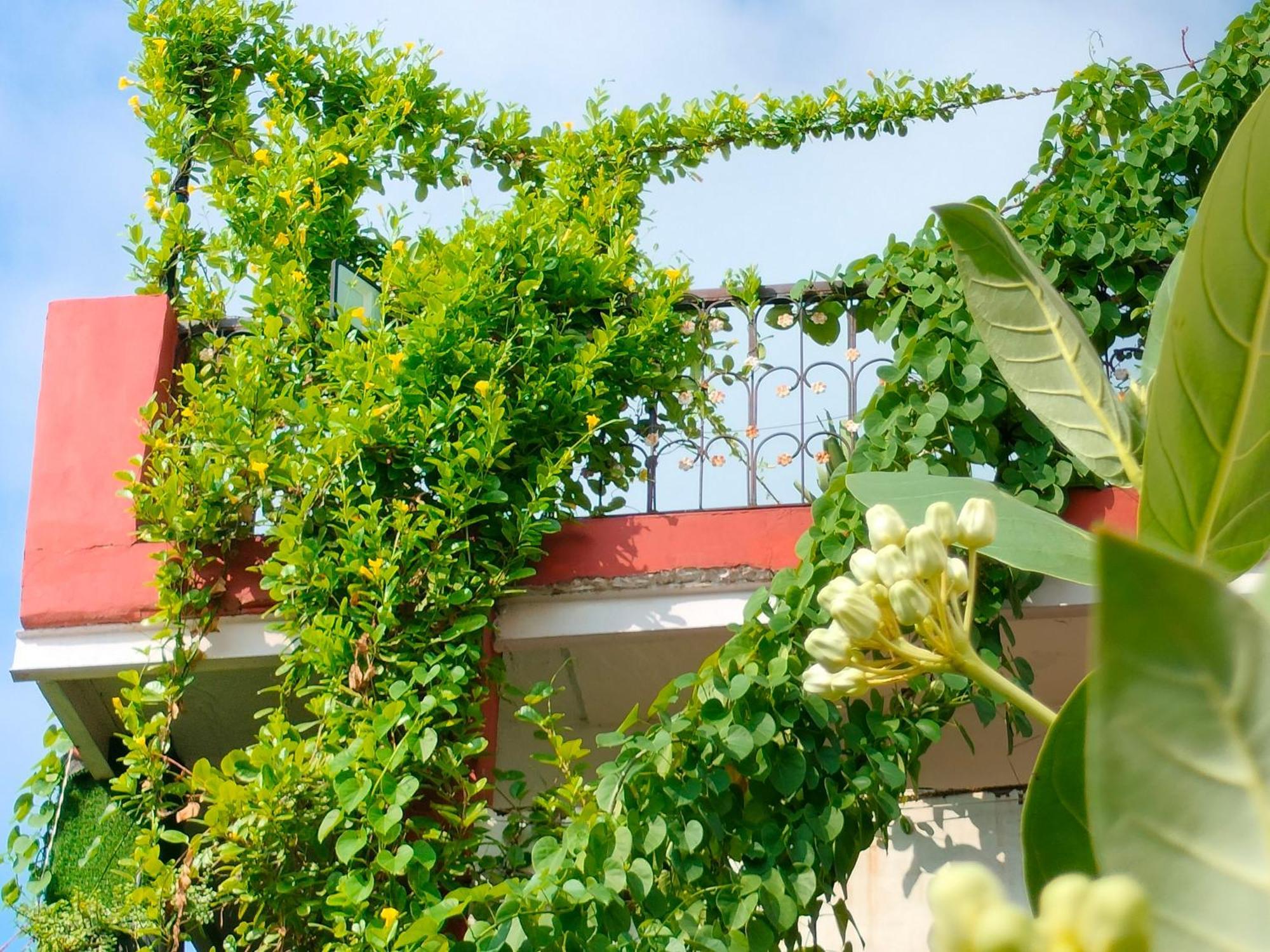 מטורה Kishan Home Stay מראה חיצוני תמונה