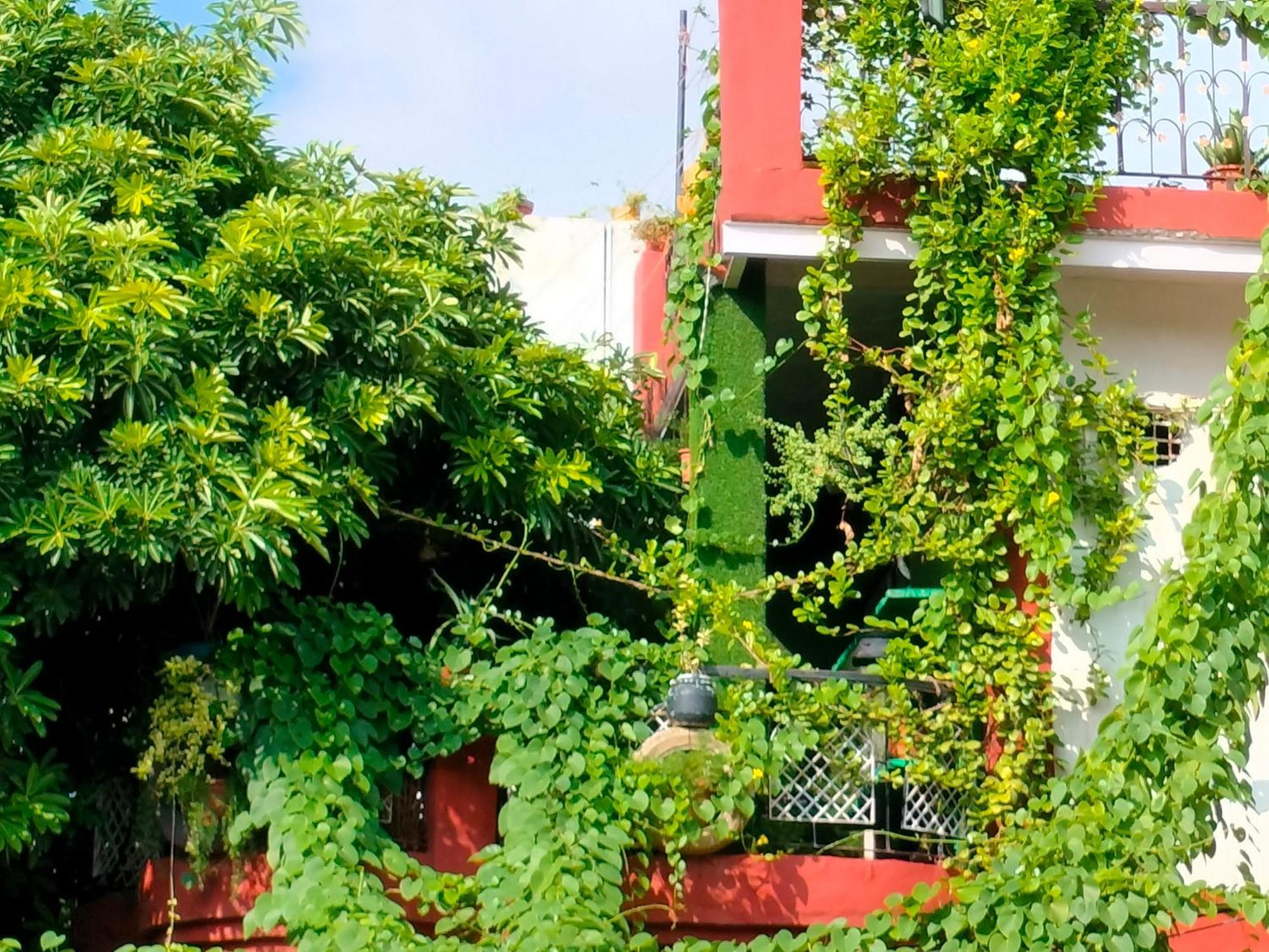 מטורה Kishan Home Stay מראה חיצוני תמונה
