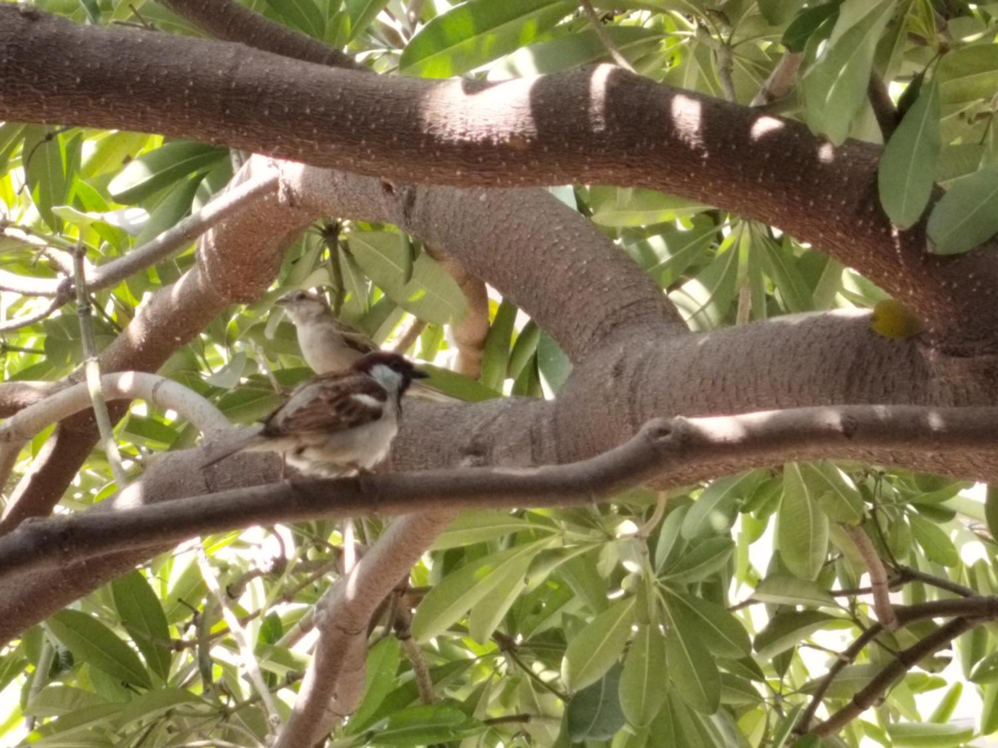 מטורה Kishan Home Stay מראה חיצוני תמונה
