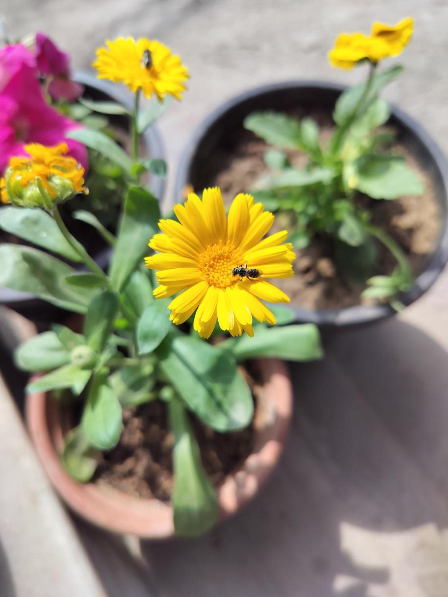 מטורה Kishan Home Stay מראה חיצוני תמונה